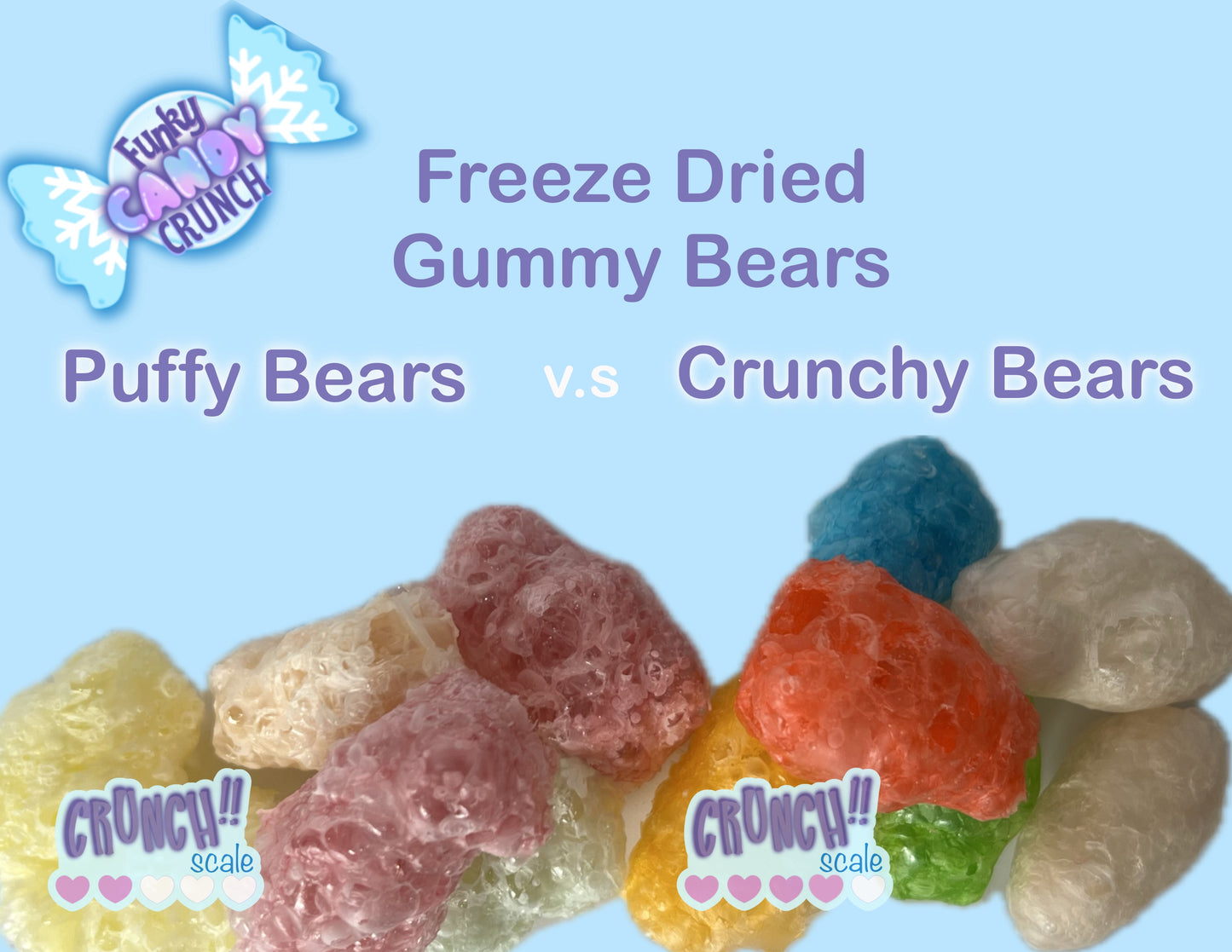 Crunchy Bears ~ Freeze Dried Candy - Freeze Dried Gummy Bears