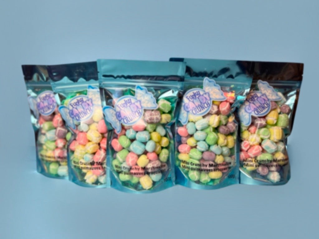 Freeze Dried Mini Crunchy Marshmallow 100g