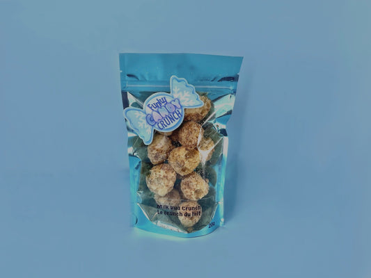 Freeze Dried Milk Duds - Milk Dud Crunch 20g