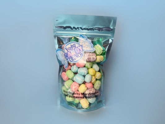 Freeze Dried Mini Crunchy Marshmallow   100g